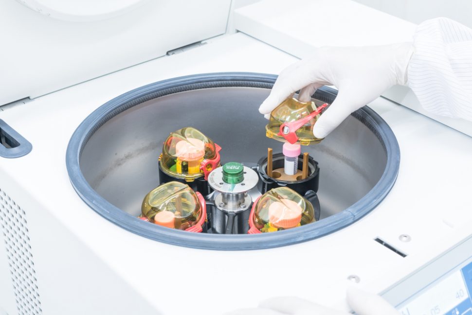 A scientist in sterile coverall gown placing cell culture flasks in the CO2 incubator. Doing biological research in clean environment