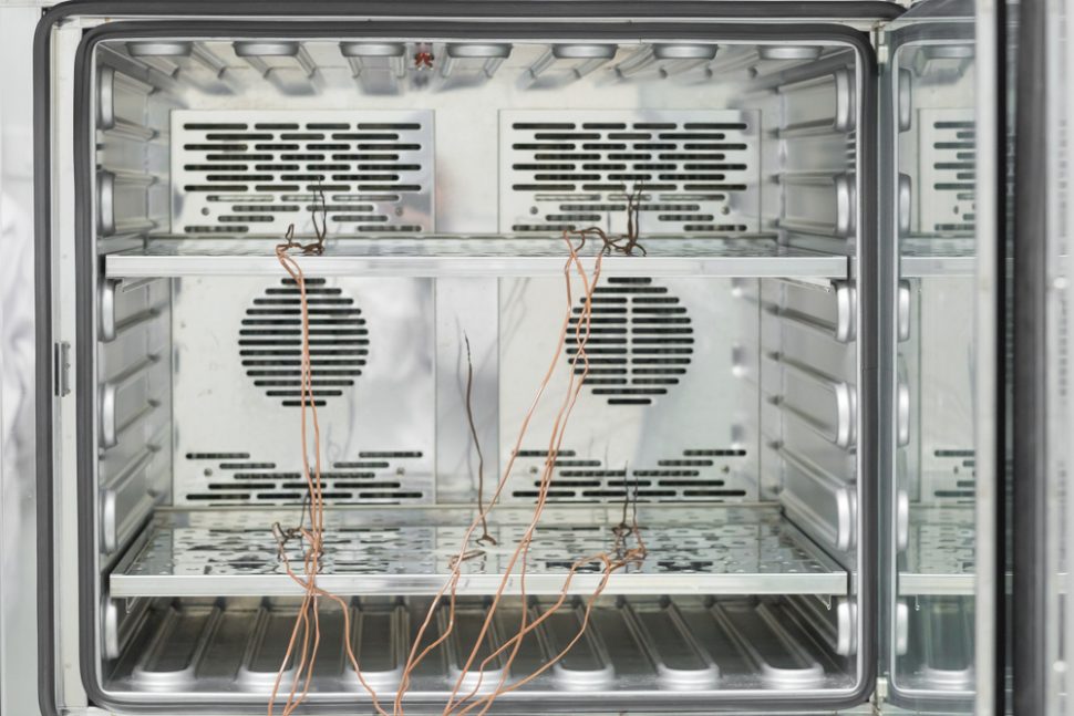 Inside of incubator with thermocouple probes installed for calibration service in laboratory